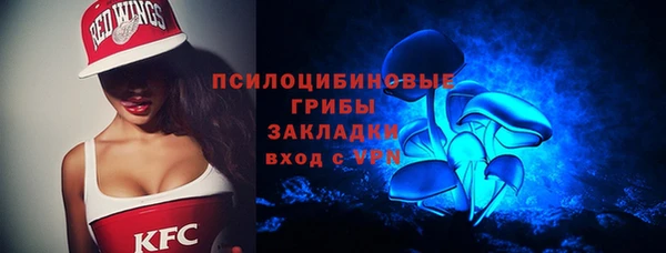 гашик Белокуриха