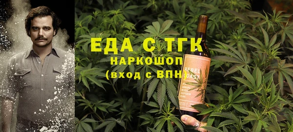 гашик Богданович