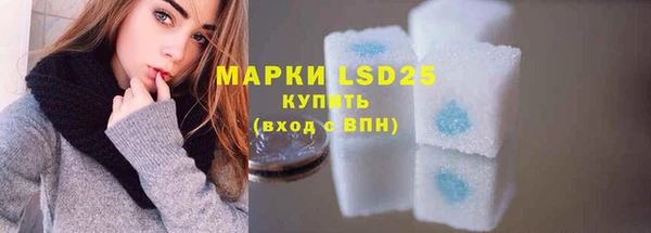 гашик Богданович