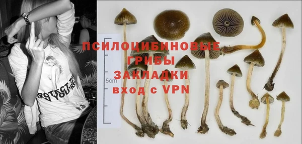 ПСИЛОЦИБИНОВЫЕ ГРИБЫ Богородицк