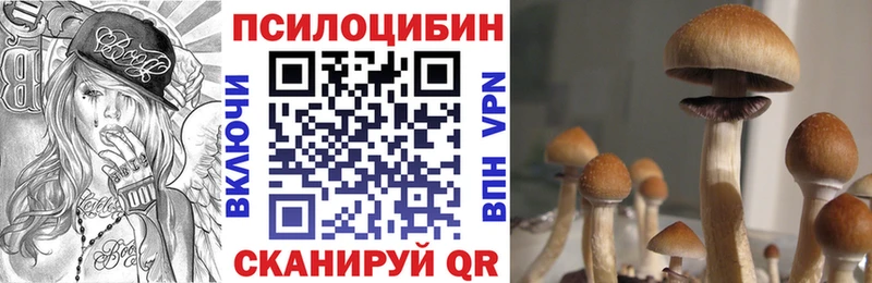 blacksprut онион  Верхняя Пышма  Галлюциногенные грибы ЛСД 